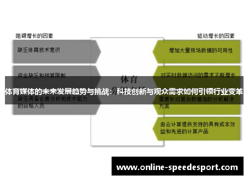 体育媒体的未来发展趋势与挑战：科技创新与观众需求如何引领行业变革