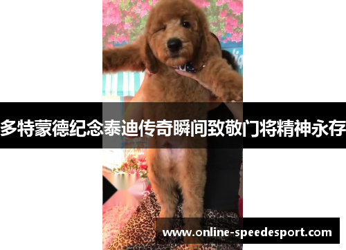 多特蒙德纪念泰迪传奇瞬间致敬门将精神永存
