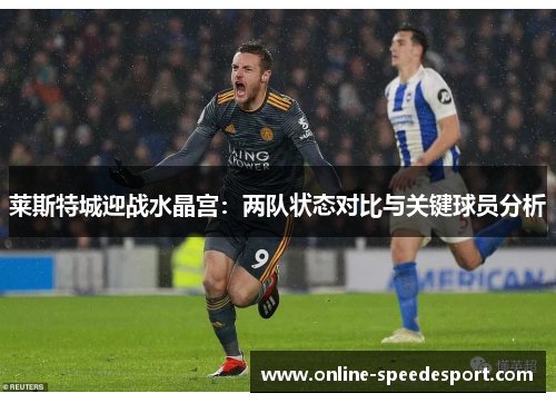 莱斯特城迎战水晶宫：两队状态对比与关键球员分析