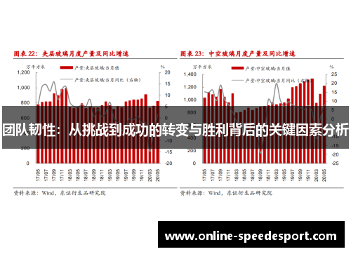 团队韧性:从挑战到成功的转变与胜利背后的关键因素分析 团队韧性:从挑战到成功的转变与胜利背后的关键因素分析