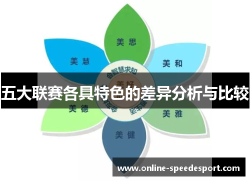五大联赛各具特色的差异分析与比较 五大联赛各具特色的差异分析与比较